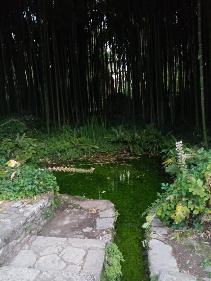 Bed and Breakfast La Bella Ninfa Sermoneta Exterior foto