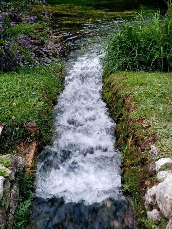 Bed and Breakfast La Bella Ninfa Sermoneta Exterior foto